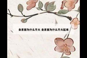 金素丽为什么不火 金素丽为什么不火起来
