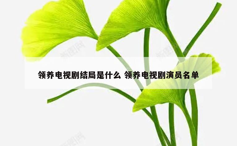 领养电视剧结局是什么 领养电视剧演员名单