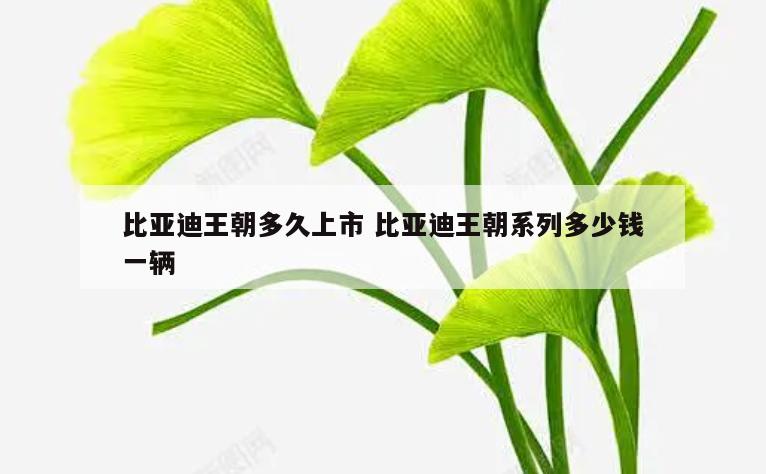 比亚迪王朝多久上市 比亚迪王朝系列多少钱一辆