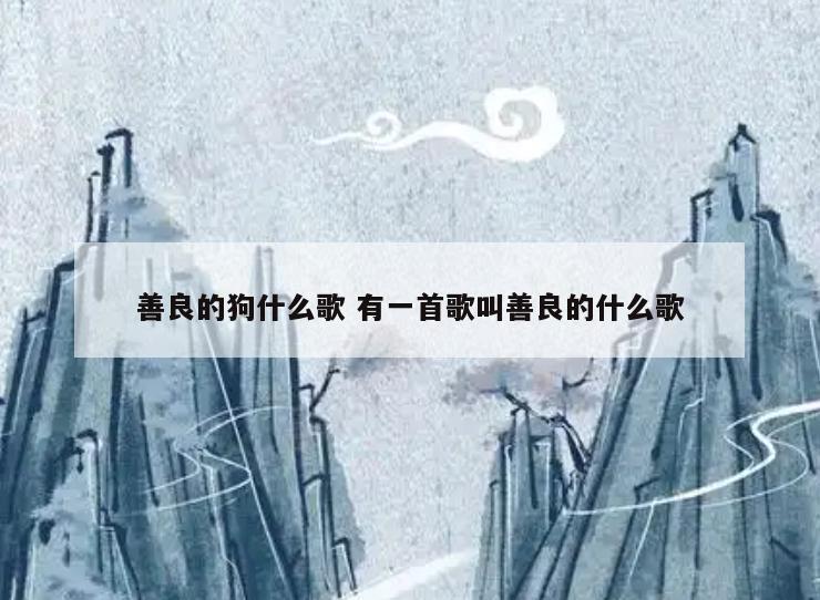 善良的狗什么歌 有一首歌叫善良的什么歌