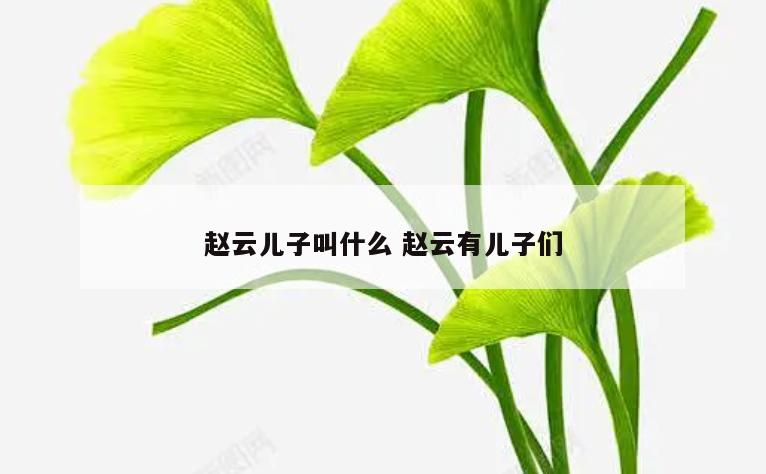 赵云儿子叫什么 赵云有儿子们
