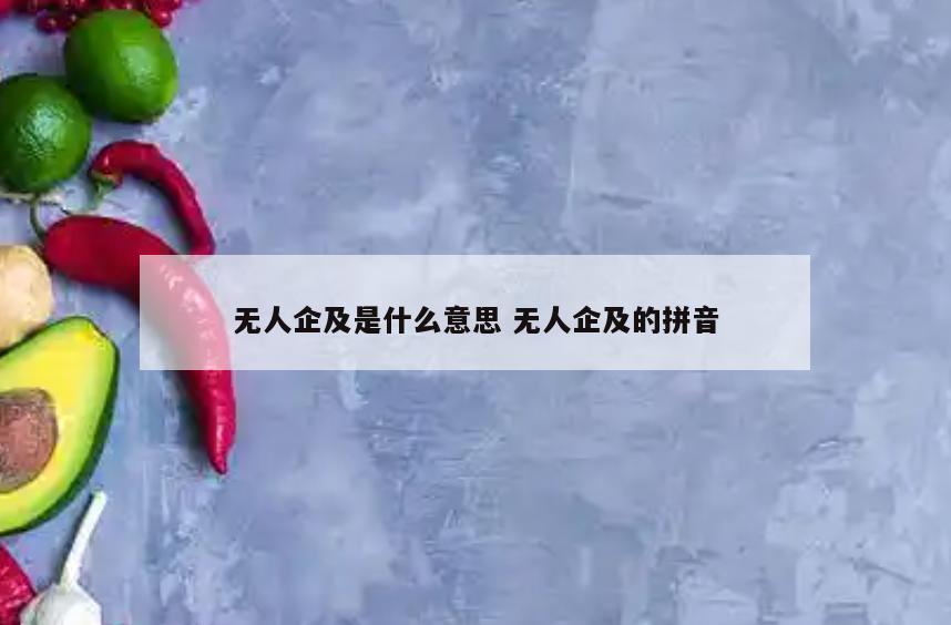 无人企及是什么意思 无人企及的拼音