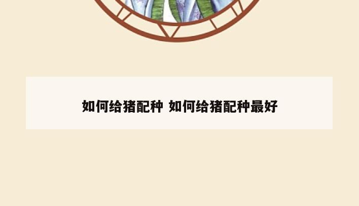 如何给猪配种 如何给猪配种最好