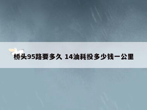 桥头95路要多久 14油耗投多少钱一公里