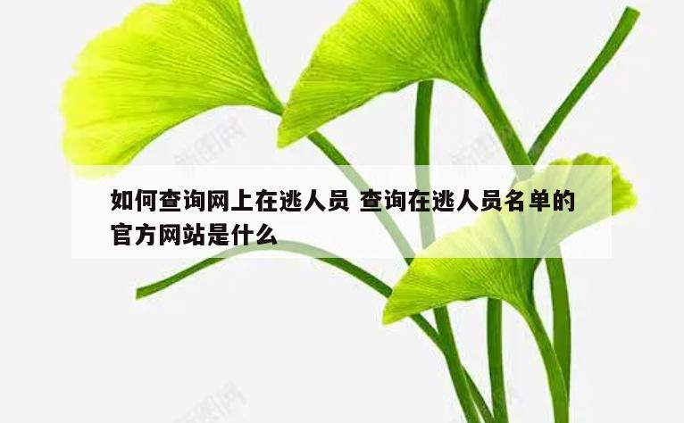 如何查询网上在逃人员 查询在逃人员名单的官方网站是什么