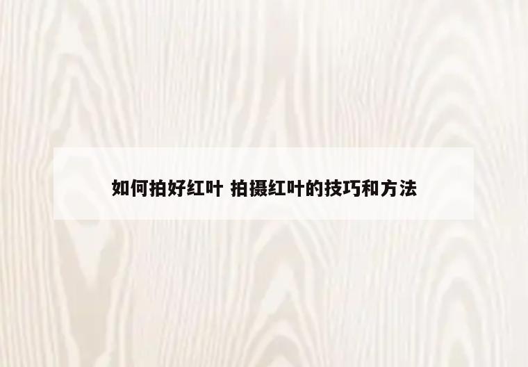 如何拍好红叶 拍摄红叶的技巧和方法