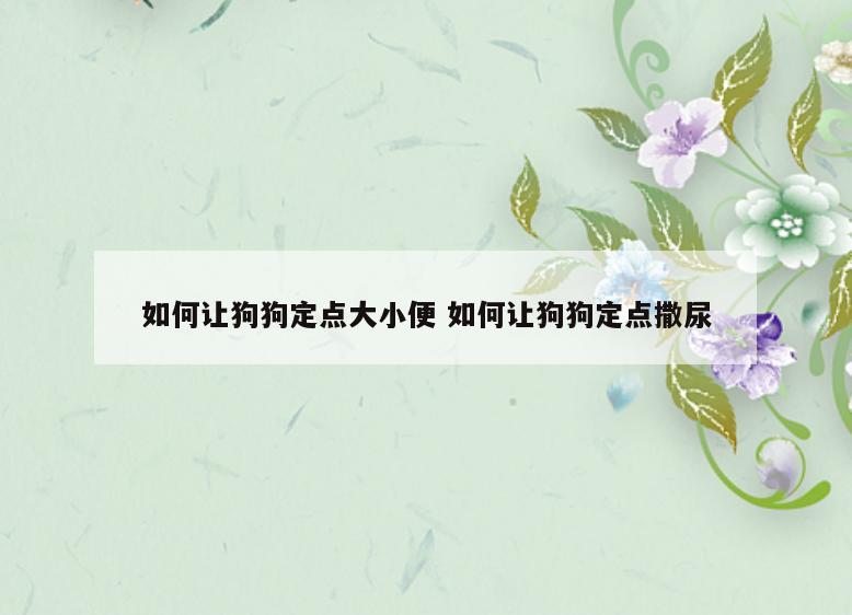 如何让狗狗定点大小便 如何让狗狗定点撒尿