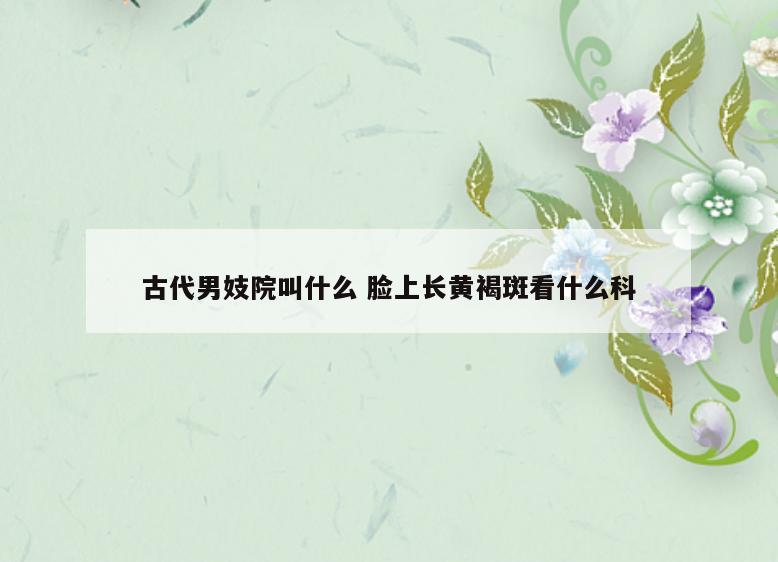 古代男妓院叫什么 脸上长黄褐斑看什么科