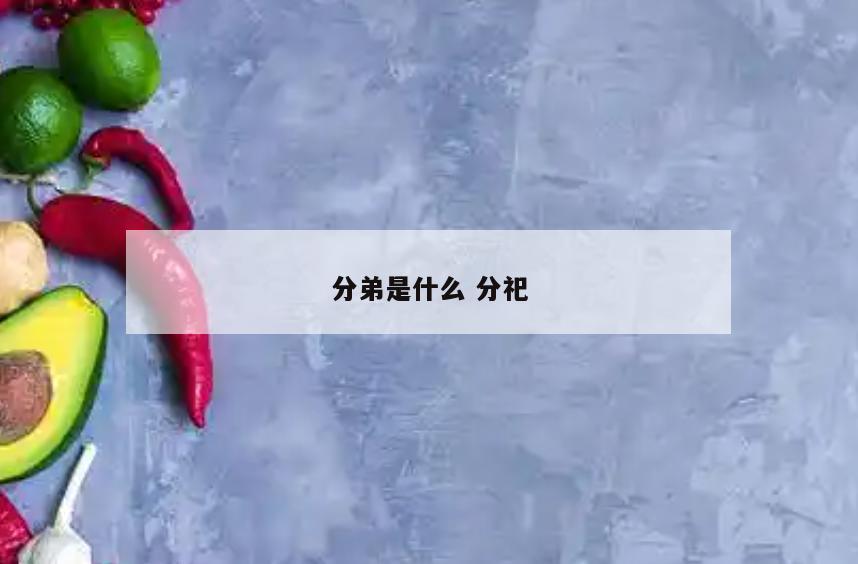 分弟是什么 分祀