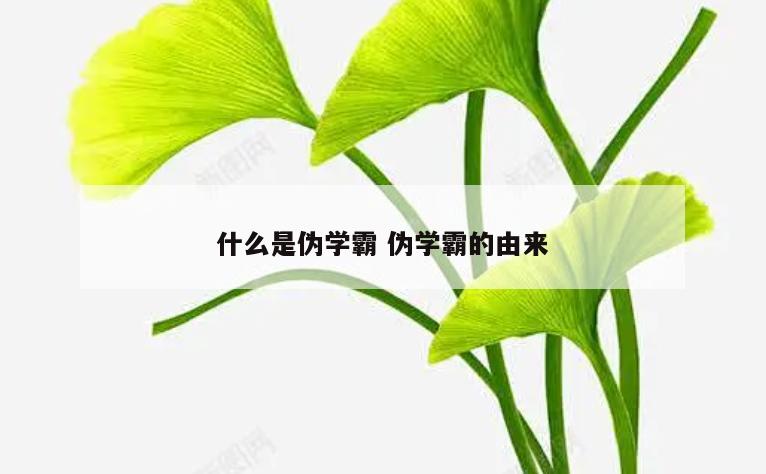 什么是伪学霸 伪学霸的由来