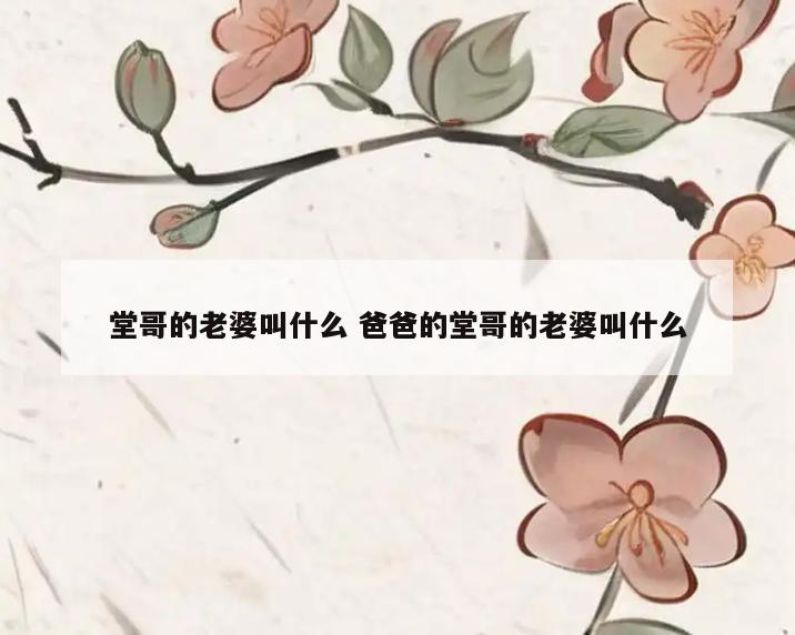 堂哥的老婆叫什么 爸爸的堂哥的老婆叫什么