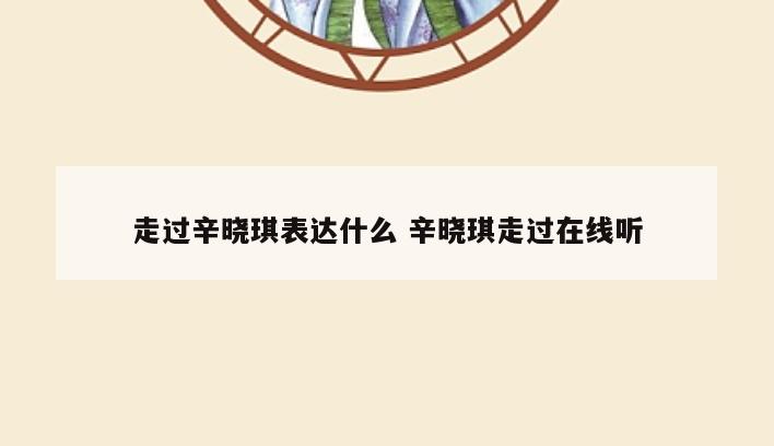 走过辛晓琪表达什么 辛晓琪走过在线听