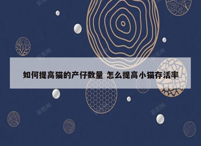如何提高猫的产仔数量 怎么提高小猫存活率