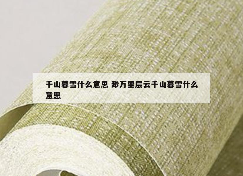 千山暮雪什么意思 渺万里层云千山暮雪什么意思