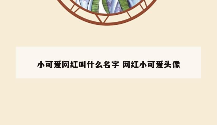 小可爱网红叫什么名字 网红小可爱头像
