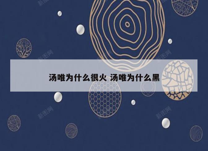 汤唯为什么很火 汤唯为什么黑