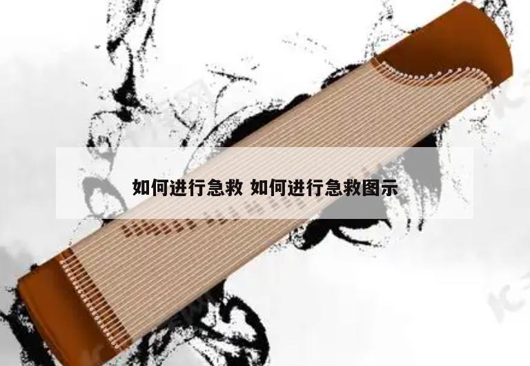 如何进行急救 如何进行急救图示