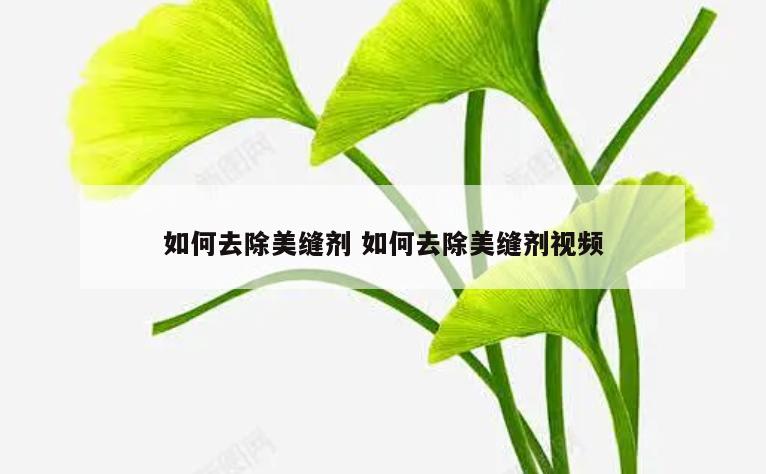 如何去除美缝剂 如何去除美缝剂视频
