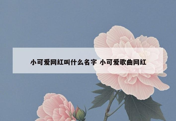 小可爱网红叫什么名字 小可爱歌曲网红