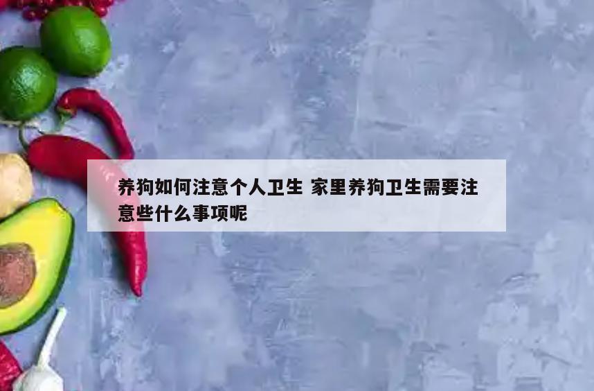 养狗如何注意个人卫生 家里养狗卫生需要注意些什么事项呢