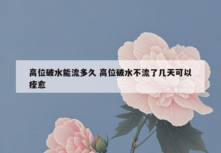 高位破水能流多久 高位破水不流了几天可以痊愈