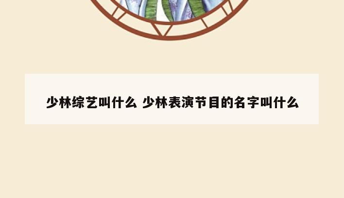 少林综艺叫什么 少林表演节目的名字叫什么