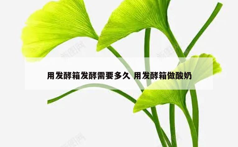 用发酵箱发酵需要多久 用发酵箱做酸奶