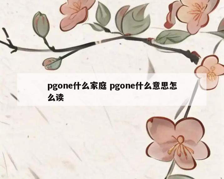 pgone什么家庭 pgone什么意思怎么读