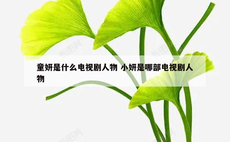 童妍是什么电视剧人物 小妍是哪部电视剧人物