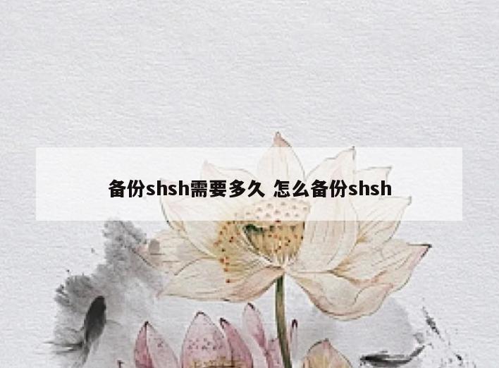 备份shsh需要多久 怎么备份shsh