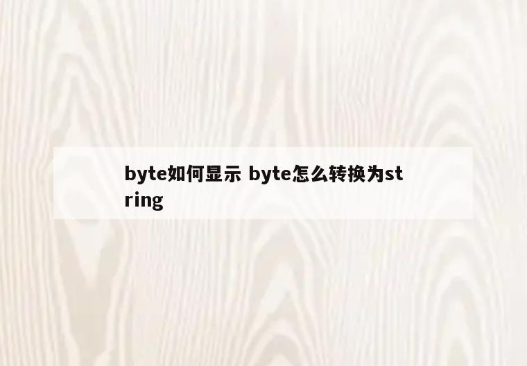byte如何显示 byte怎么转换为string