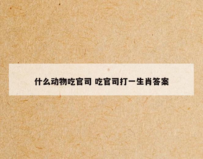 什么动物吃官司 吃官司打一生肖答案