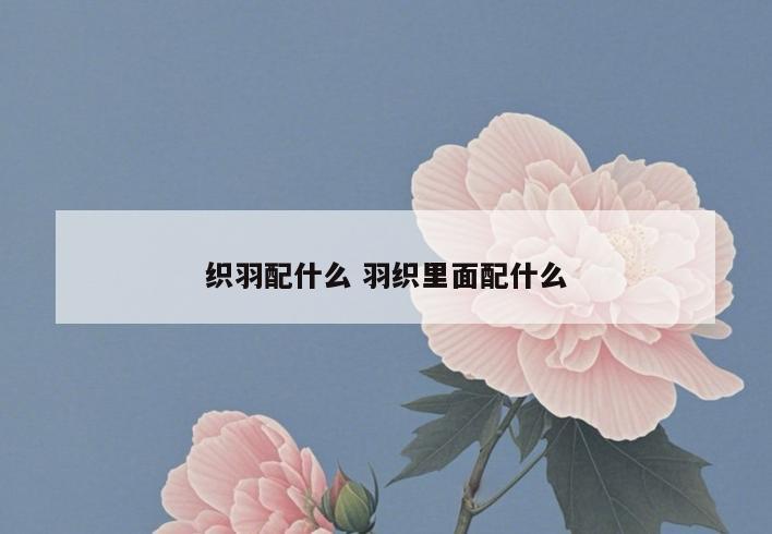 织羽配什么 羽织里面配什么