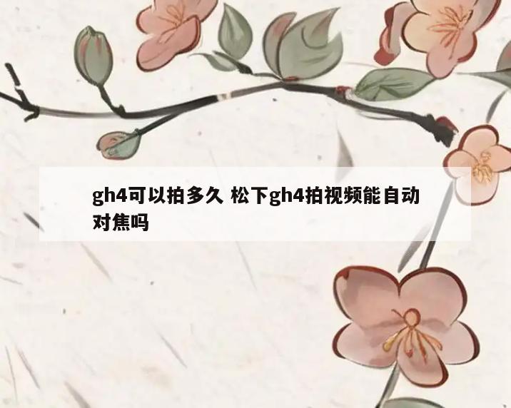 gh4可以拍多久 松下gh4拍视频能自动对焦吗