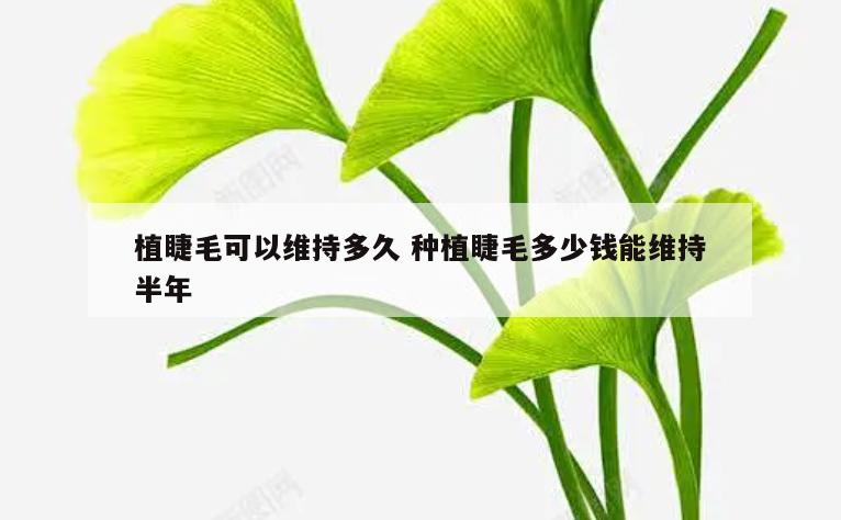植睫毛可以维持多久 种植睫毛多少钱能维持半年