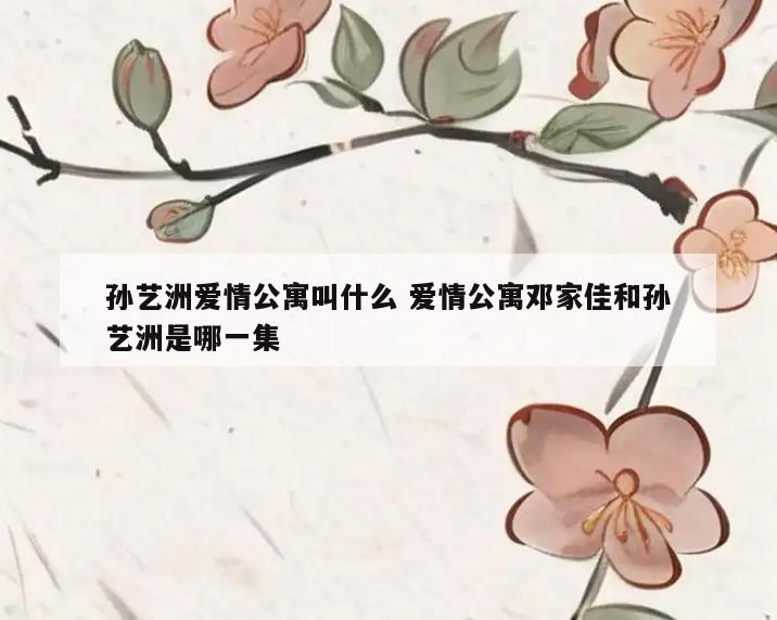 孙艺洲爱情公寓叫什么 爱情公寓邓家佳和孙艺洲是哪一集