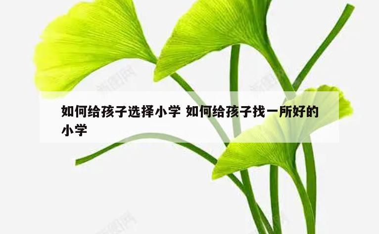 如何给孩子选择小学 如何给孩子找一所好的小学