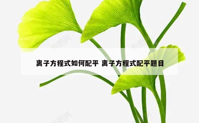 离子方程式如何配平 离子方程式配平题目