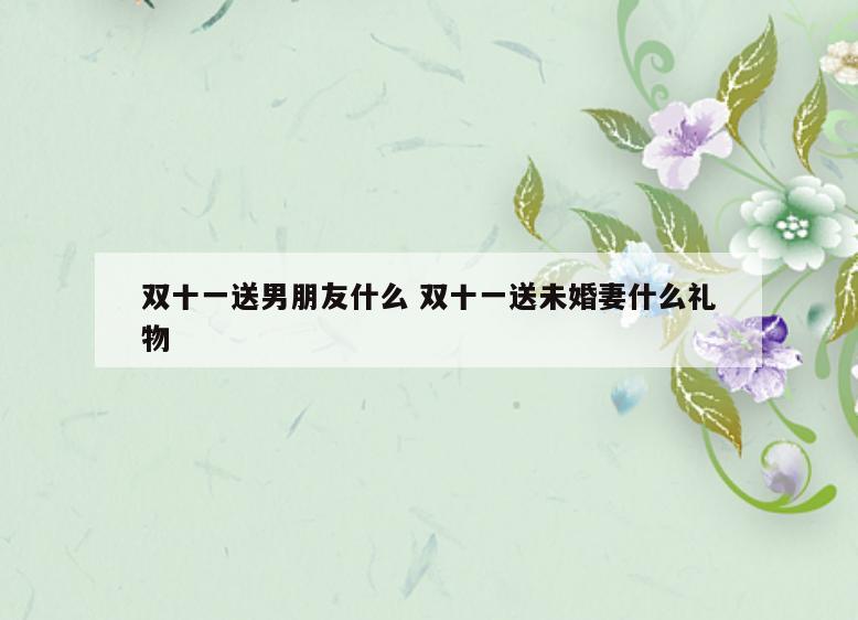 双十一送男朋友什么 双十一送未婚妻什么礼物