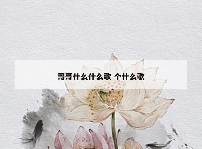 哥哥什么什么歌 个什么歌