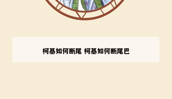 柯基如何断尾 柯基如何断尾巴