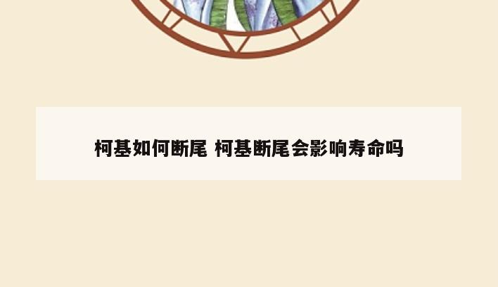 柯基如何断尾 柯基断尾会影响寿命吗