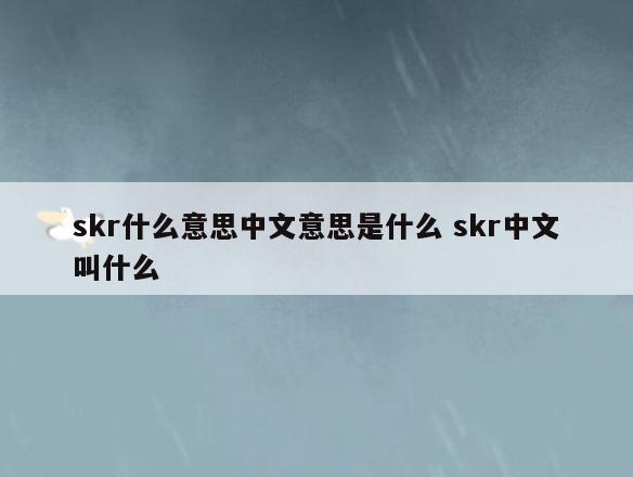 skr什么意思中文意思是什么 skr中文叫什么