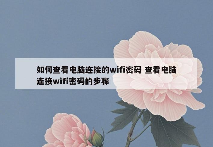 如何查看电脑连接的wifi密码 查看电脑连接wifi密码的步骤