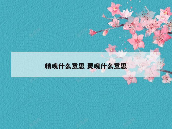 精魂什么意思 灵魂什么意思