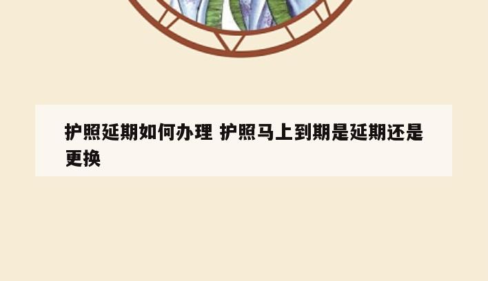 护照延期如何办理 护照马上到期是延期还是更换