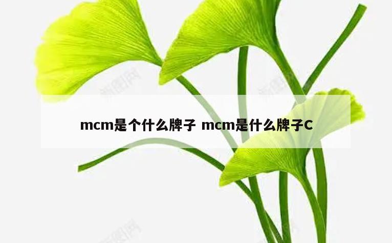 mcm是个什么牌子 mcm是什么牌子C
