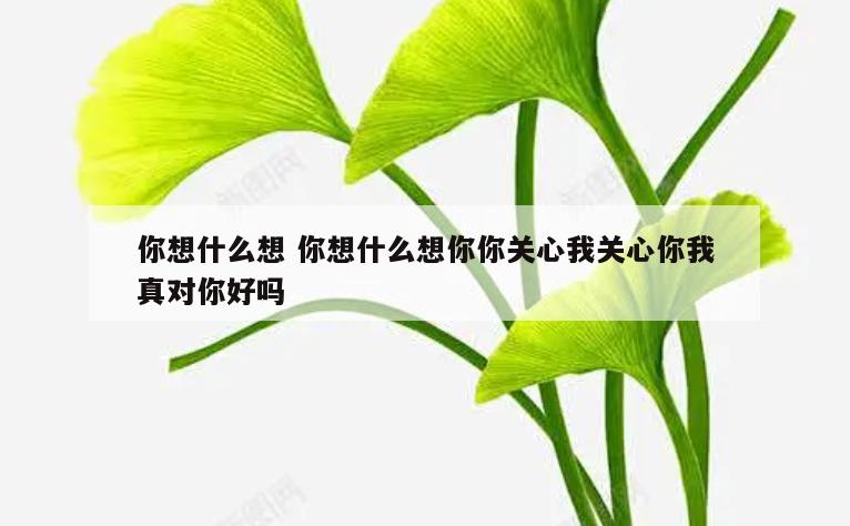 你想什么想 你想什么想你你关心我关心你我真对你好吗