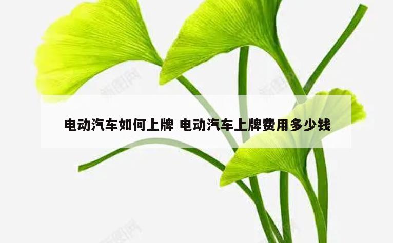 电动汽车如何上牌 电动汽车上牌费用多少钱