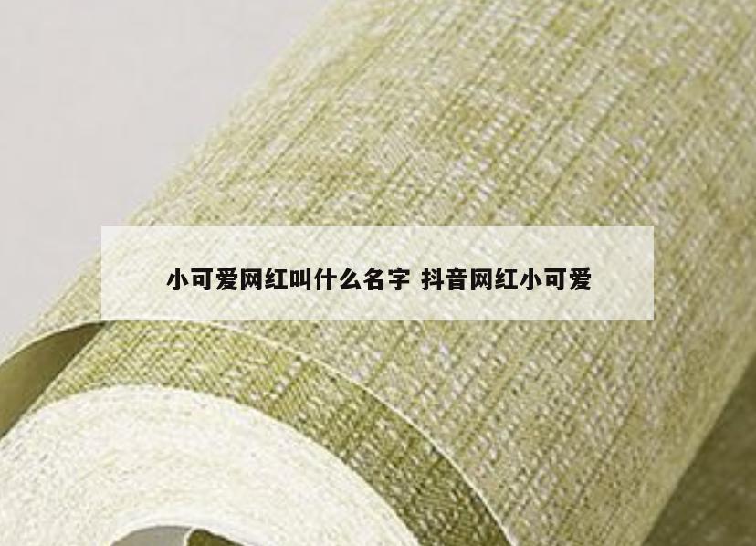 小可爱网红叫什么名字 抖音网红小可爱